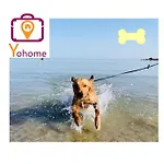 Casale Passalacqua Pesaro By Yohome * La Torraccia