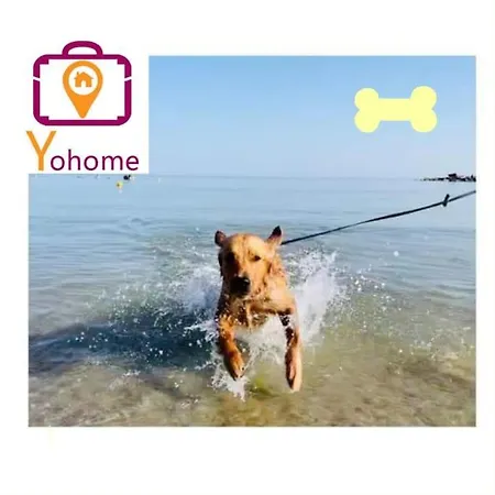 Casale Passalacqua Pesaro By Yohome * La Torraccia